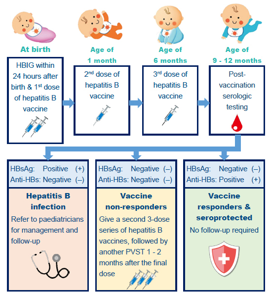 'Post-vaccination serologic testing for babies born to mothers infected with hepatitis B virus' fact sheet