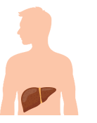 Coping with Chronic Hepatitis B (CHB)