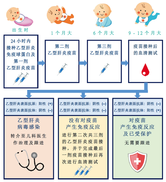 接种疫苗后的血清测试（适用于母亲是乙型肝 炎患者的婴儿）资料单张