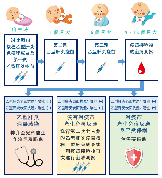 接種疫苗後的血清測試（適用於母親是乙型肝炎患者的嬰兒）資料單張